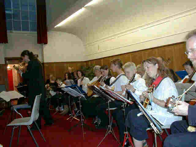Fretful Federation Mandolin Orchestra